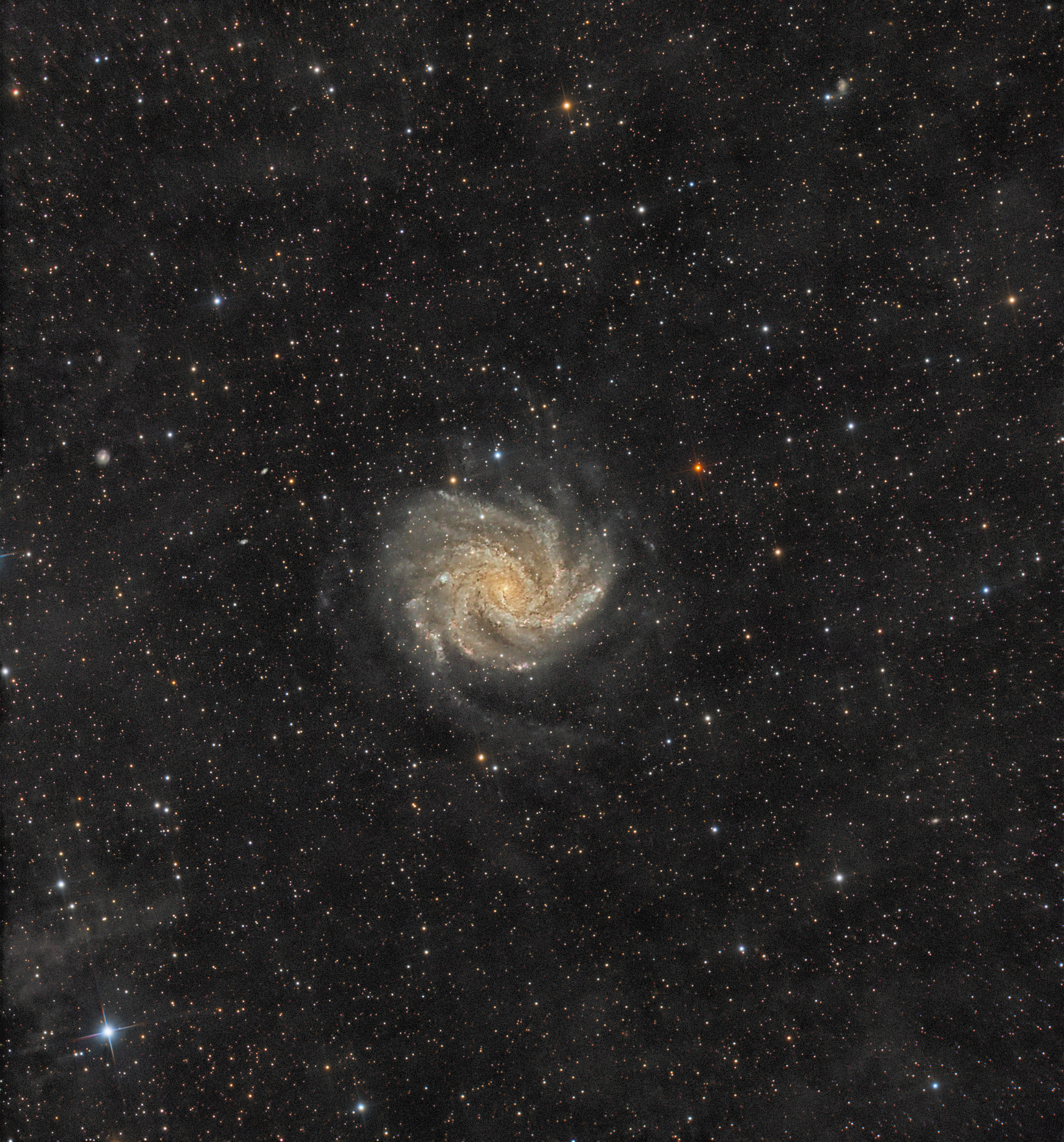 Галактиката „Фойерверк“ (NGC 6946)
